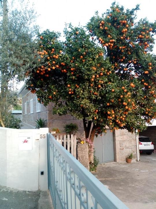 Villa Vivenda Mendes Outeiro  Esterno foto